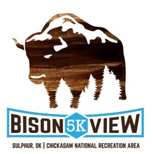 Bison View 5K logo