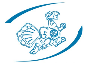 Turkey-Wanis 5K logo