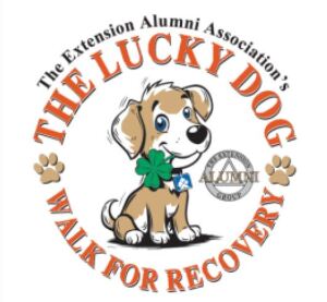 The Lucky Dog Walk - 5K home