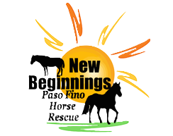 NEW BEGINNINGS PASO FINO HORSE RESCUE VIRTUAL TRAIL CHALLENGE home