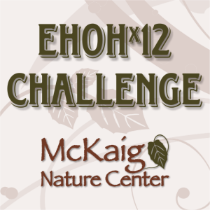 EHOHx12 Challenge: Run Every Hour On the Hour at McKaig Nature Center home