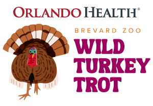 Wild Turkey Trot 3k presented by Orlando Health homepage