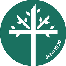 Tree of Life 5K - Race with a Cause homepage