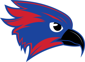 Owego Night Invite logo