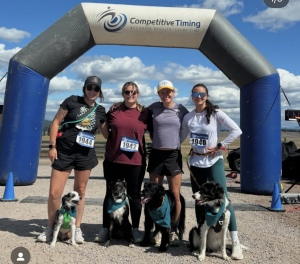 17Th Annual Canine Classic logo