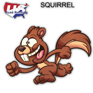 Squirrel 5K, 10K, & Half Marathon at Lake Beresford Park, Deland, FL (22) 50 logo