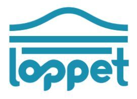 Private Ski Lessons homepage