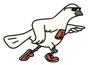 Doves on the Run: Costume 5k home