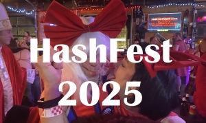 27th Annual HashFest Red Dress Weekend home