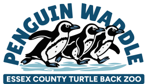 Essex County Turtle Back Zoo Penguin Waddle logo