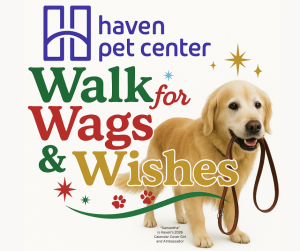 "Walk for Wags & Wishes" 30-Day Dog Walk Challenge homepage