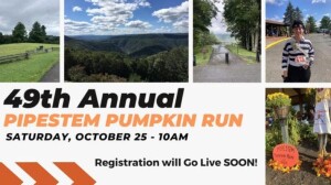 Pipestem Pumpkin Run logo