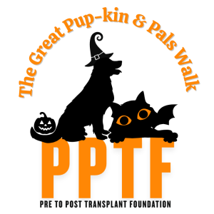 The Great Pup-kin & Pals Walk home