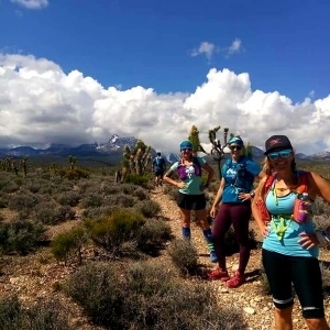 Sawmill Relay home