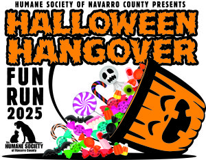 Halloween Hangover Fun Run & 1 Mile Walk home