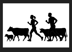 Soil Mates Trail Race home