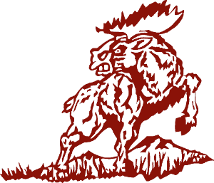 Zaragoza Invitational home