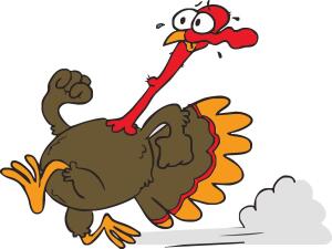 Hillsdale Hobble Gobble home