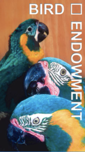 Bird Endowment's “Back from the Brink – Saving the Blues!” homepage