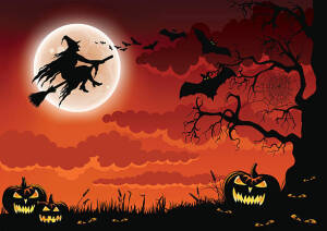 Witch Way home