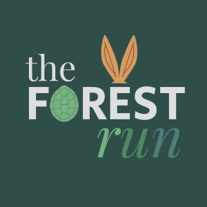 Naaman Forest Color Run logo