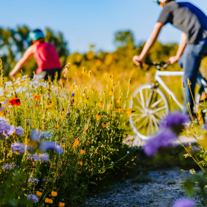 Pollinator Bike Ride homepage