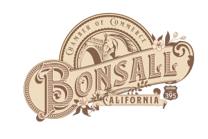 Bonsall Bridge Centennial 5K logo