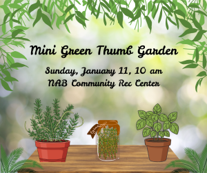 Mini Green Thumb Garden home