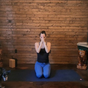 Grounded in Gratitude : Restorative Yoga Session