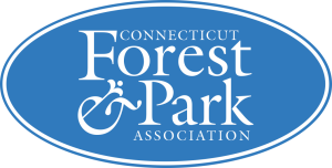 Winter Wonder Blue-Blazed Challenge home