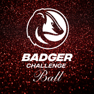Badger Challenge Ball homepage