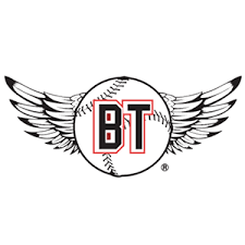 Bayler's Birthday Bash 5K Run/Walk logo