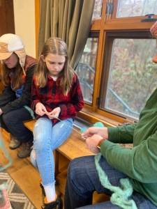 Wool Spinning & Natural Dyeing for Beginners (12PM)