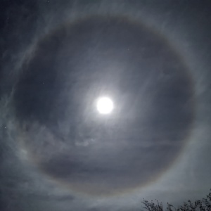 Roy Gap Fun Run home