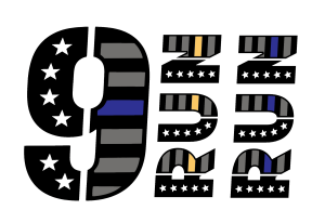 9RunRun 5K & Color Fun Run logo