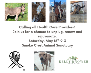 Health Care Professional Wellness Retreat home