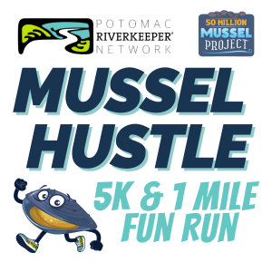 Potomac Riverkeeper Network's Mussel Hustle