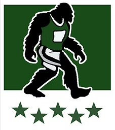Big Footer 5k logo