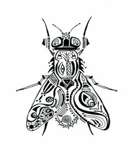 2026 WCA Black Fly Blitz 5k logo