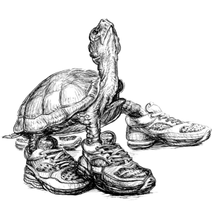 Turtle Trot 5K, 10K, Fun Run and Brunch! logo