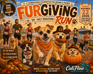 Furgiving Run: Turkey Trot 5K, 10K, Half Marathon by Califlow Runs logo