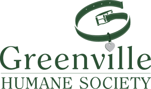 Paws on the Pavilion Contest home