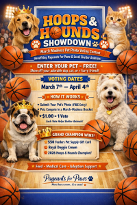 Hoops and Hounds Showdown homepage