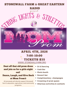 String Lights & Stilettos Mom Prom homepage