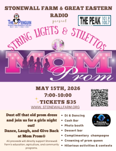 String Lights & Stilettos Mom Prom homepage