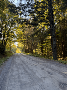 Stella 14k Boneyard Bash logo