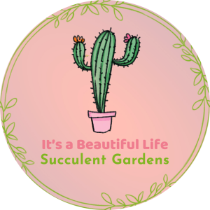 Mother's Day Succulent Arrangement Workshop homepage