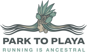 Park to Playa 10K homepage