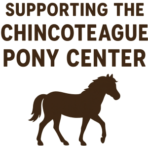 Buckle Up for the Challenge