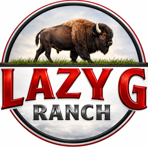 Lazy G Bison Tour - Starts at 10AM homepage